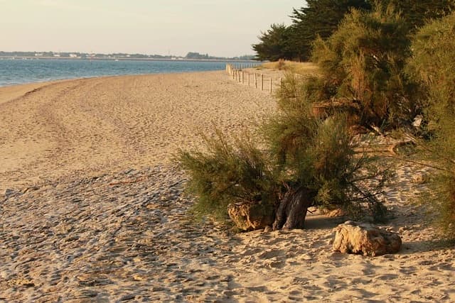 Plage des Sables d'Olonne