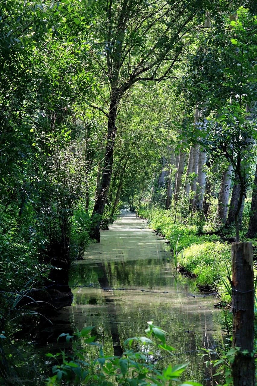 Les marais Poitevin